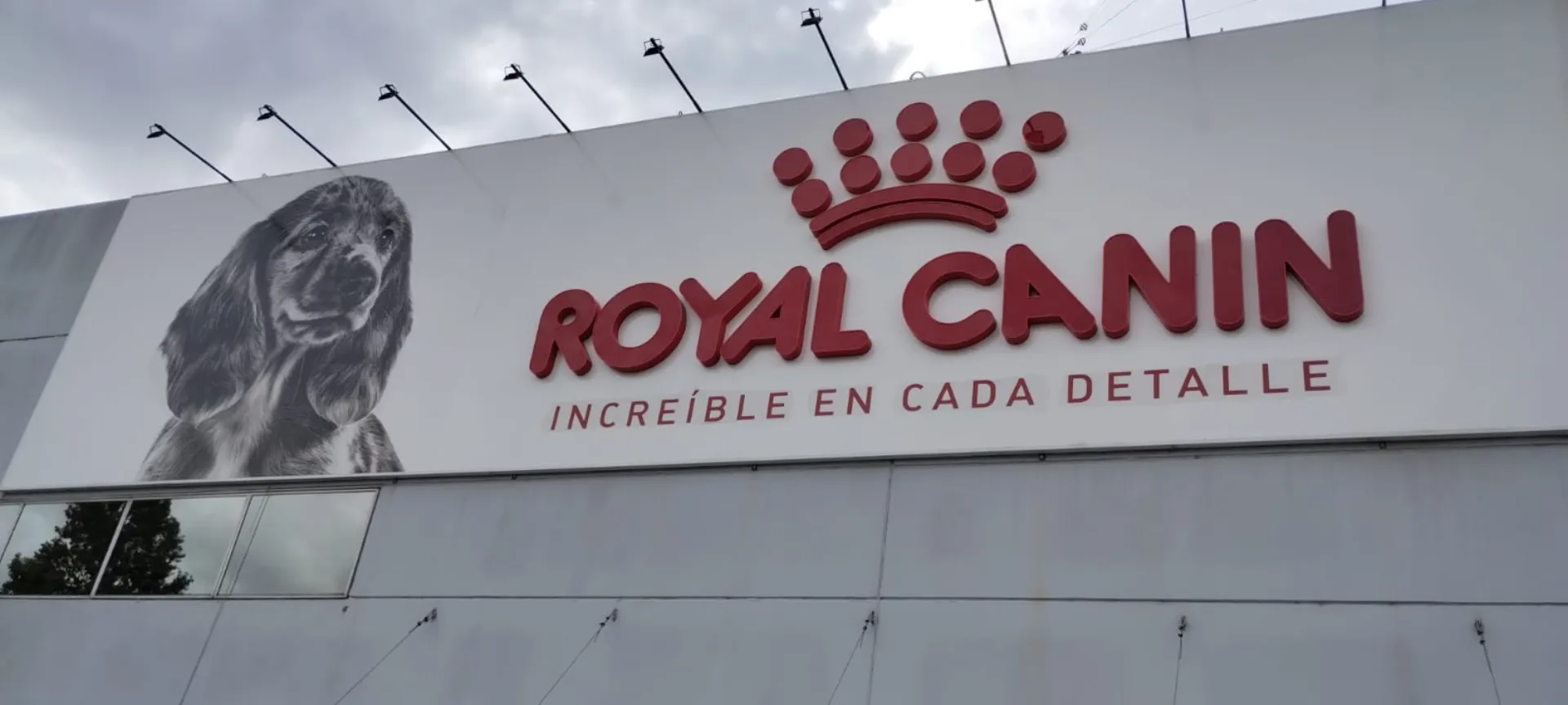 Royal Canin — Imagen 5